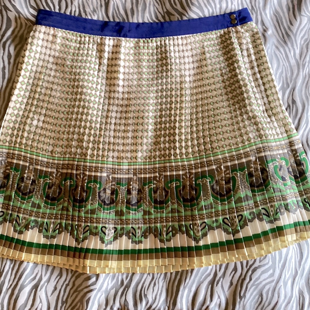 Zara pleated miniskirt with side zip and two button closure